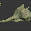 Conch Shell Marine Animal With Spiral Shape Spiked Edges Cream Orange Color Shiny Surface