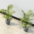 Ornamental Bonsai Potted Plants With Long Green Leaves In Silver Pots Indoor Decor