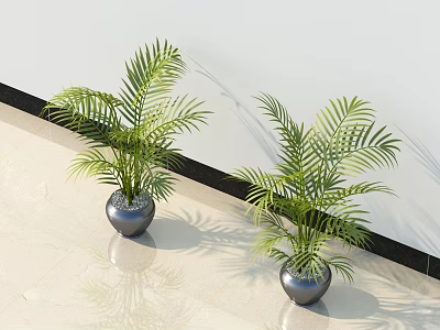 Ornamental Bonsai Potted Plants With Long Green Leaves In Silver Pots Indoor Decor 3d model