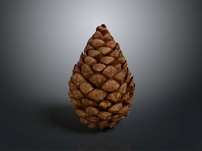 Natural Brown Pine Cone With Scaly Texture Isolated On Gray Background 3d model