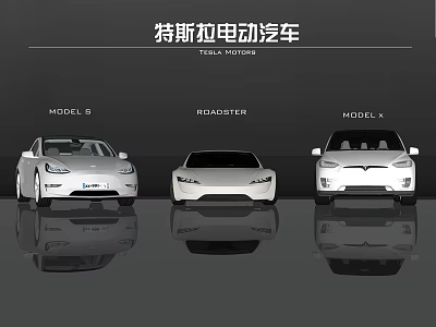 Tesla Electric Cars Featuring Model S Roadster and Model X Designs 3d model