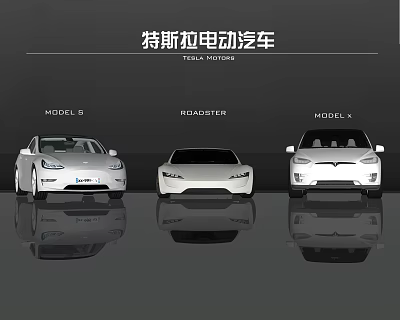 Tesla Electric Cars Featuring Model S Roadster and Model X Designs 3d model