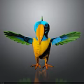 Vibrant Bird With Blue Head Orange Beak Yellow Body Green Wings Standing On Black Surface