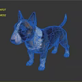 Brown And White Bull Terrier With Erect Ears Standing On Shiny Dark Floor