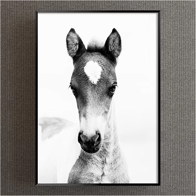 Framed Black and White Animal Painting of Foal With White Heart Shaped Spot on Forehead 3d model