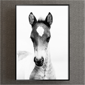 Modern animal painting gray children's room animal horse decorative painting 3d model