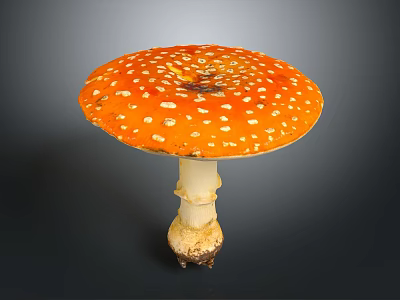 Vibrant Orange Mushroom with White Spots on Cap and White Stem Having Soil at Base 3d model