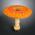 Vibrant Orange Mushroom with White Spots on Cap and White Stem Having Soil at Base
