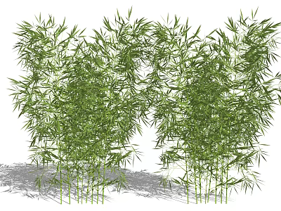 Lush Bamboo Plants with Green Leaves and Tall Stems in Natural Growth 3d model