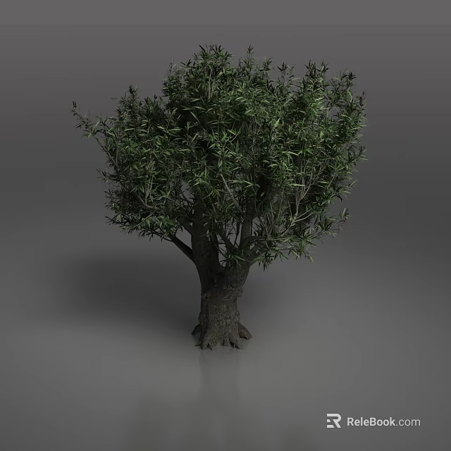 Lush Green Tree With Thick Trunk And Visible Roots In Isolated Scene 3d model 