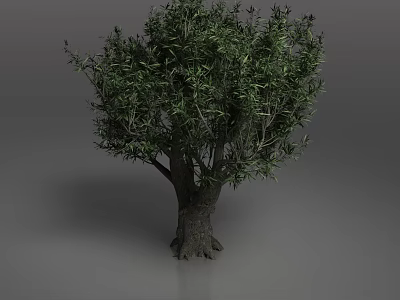 Lush Green Tree With Thick Trunk And Visible Roots In Isolated Scene 3d model