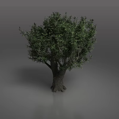Autumn Olives 3d model