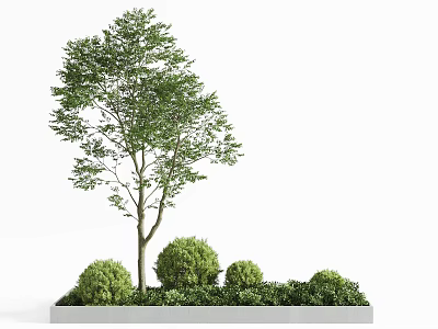 Outdoor Rectangular Gray Tree Planter With Green Tree And Small Shrubs 3d model