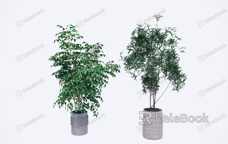 Modern Potted Plant Potted Plant Furnishings model