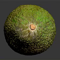 Fresh Ripe Avocado With Green Yellow Skin And Smooth Texture