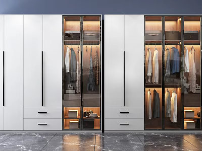 Modern Wardrobe Interior With Glass Door Panels Built-in Drawers And Hanging Storage Racks 3d model