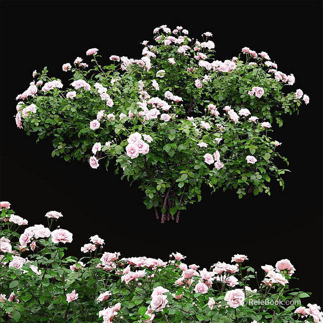 Fresh Pink And White Roses In Vase With Lush Green Leaves Decor 3d model 