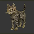 Striped Cat With Green Eyes Standing On Smooth Surface Against Gray Background 3d model