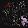 Various Decorative Lights With String Star And Circular Designs For Festive Decoration