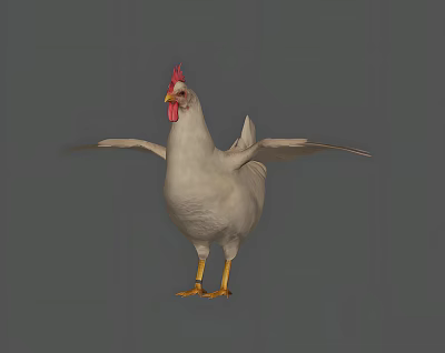 White Chicken With Red Comb And Beak Standing On Gray Background With Spread Wings 3d model