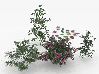 Diverse Garden Plants Featuring Purple Flowering Shrubs Green Trees And Lily Pads 3d model