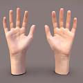 Two Realistic Human Hands with Palms Up Displayed on Gray Background 3d model