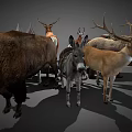 Various Horned Wild Animals Collection Including Deer Antelope Bull On Gray Background