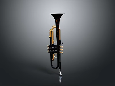 Black Trumpet Shaped Home Living Decorative Accessory With Gold Accents 3d model