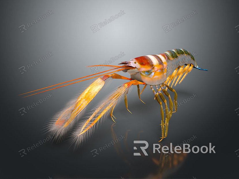 Japanese tiger shrimp prawn prawn metapenaeus ensis shrimp life supplies model