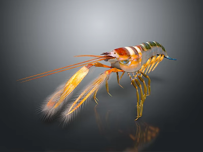 Realistic 3D Rendered Orange White Striped Shrimp Decorative Figurine With Long Antennae For Home Living 3d model