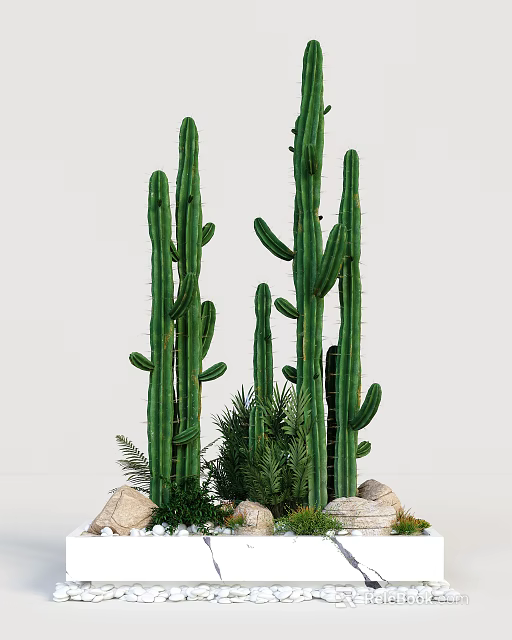 Indoor Decorative Tall Cactus Bonsai Potted Plants With Small Greenery And Stones 3d model 