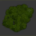 Floating Green Tree With Stones At Base And Gray Background