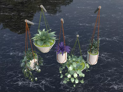 Hanging Bonsai Potted Plants With White Pots Orange Green Strings And Colorful Leaves 3d model