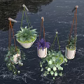 Hanging Bonsai Potted Plants With White Pots Orange Green Strings And Colorful Leaves
