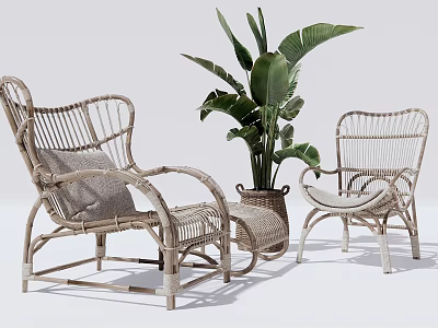 Two Natural Wicker Outdoor Chairs with Large Green Plant and Woven Planter 3d model