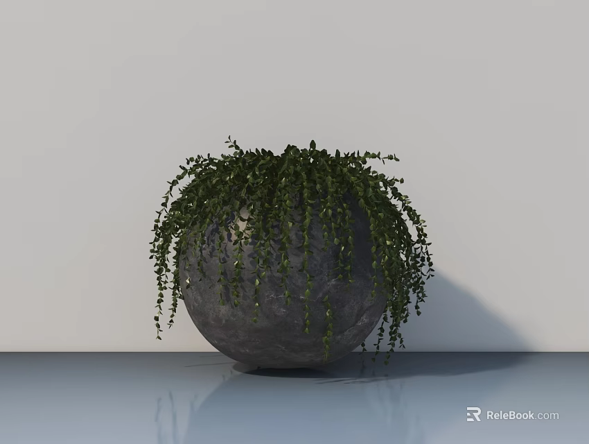 Bonsai Potted Plant in Gray Spherical Pot with Trailing Green Foliage on Smooth Blue Floor 3d model 