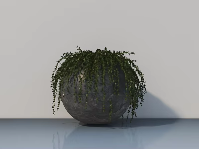 Bonsai Potted Plant in Gray Spherical Pot with Trailing Green Foliage on Smooth Blue Floor 3d model
