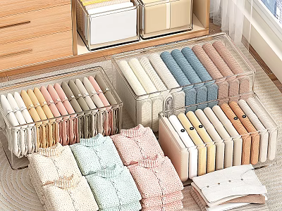 Neatly Organized Clothes With Transparent Storage Boxes 3d model