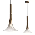 Two Modern Metallic Pendant Lights Featuring Flared Transparent Shades For Interior Design 3d model