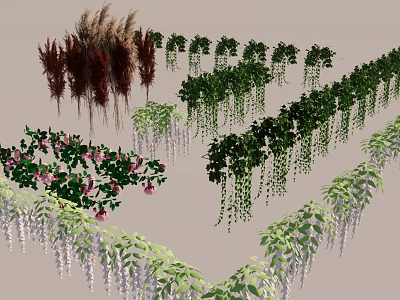 Different Types Of Decorative Vines With Hanging Green Leaves And Pink Flowers 3d model
