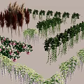 Different Types Of Decorative Vines With Hanging Green Leaves And Pink Flowers