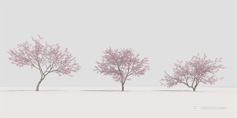 Pink Blossom Arbor Trees with Light Colored Sky and White Ground 3d model 