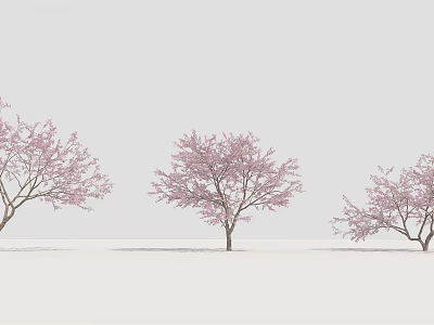 Pink Blossom Arbor Trees with Light Colored Sky and White Ground 3d model