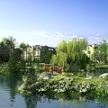 Scenic Lakeside Landscape With Weeping Willows Blue Sky Bridge Houses And Reflection On Water