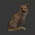 Realistic Red Fox Sculpture Sitting With Textured Fur And Reflection On Gray Background