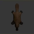 platypus red-tailed platypus leopard platypus daily necessities 3d model