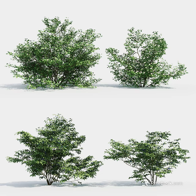 Different Green Leafy Shrubs with Lush Foliage for Landscaping Projects 3d model 