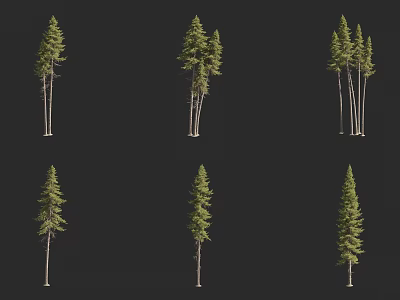 Arbor 3D Models with Single Double Triple Trunks and Green Foliage on Black Background 3d model