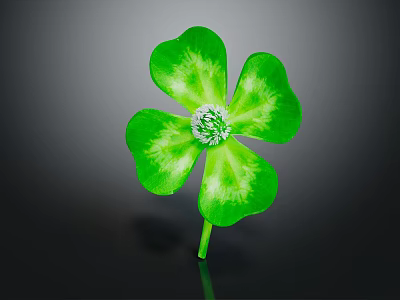 Isolated Green Four Leaf Clover Plant Featuring Vibrant Leaves And White Center On Dark Background 3d model