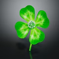 Isolated Green Four Leaf Clover Plant Featuring Vibrant Leaves And White Center On Dark Background